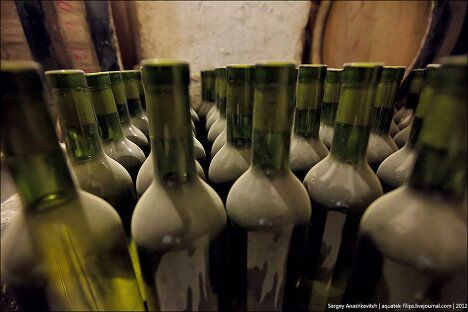 Wine Day, или Один день в винных подвалах Wine Day, или Один день в винных подвалах