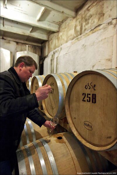 Wine Day, или Один день в винных подвалах Wine Day, или Один день в винных подвалах