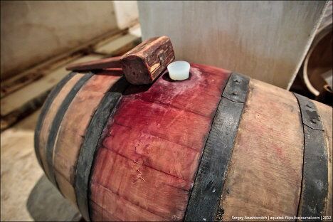 Wine Day, или Один день в винных подвалах Wine Day, или Один день в винных подвалах