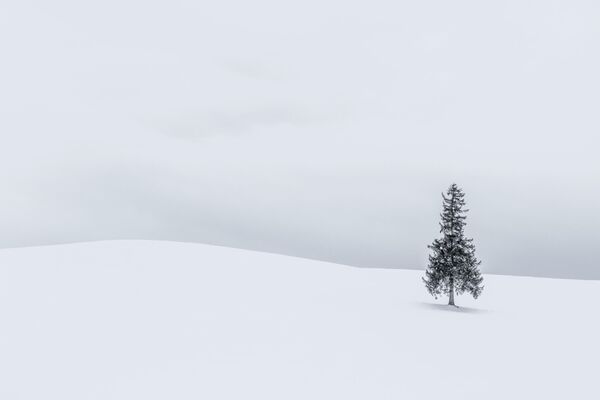 Anthony Lawrence. Работа победителя конкурса Photographer of the Year by Panasonic Anthony Lawrence. Работа победителя конкурса Photographer of the Year by Panasonic