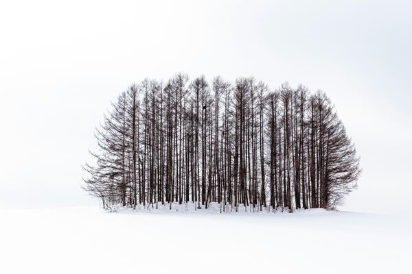 Anthony Lawrence. Работа победителя конкурса Photographer of the Year by Panasonic Anthony Lawrence. Работа победителя конкурса Photographer of the Year by Panasonic
