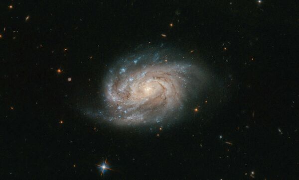 Галактика NGC 1803 в созвездии Живописец Галактика NGC 1803 в созвездии Живописец