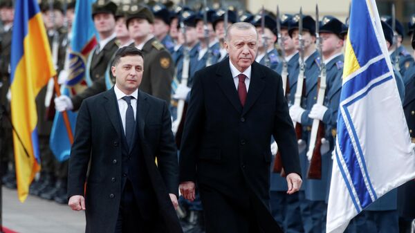 Президент Украины Владимир Зеленский и президент Турции Реджеп Тайип Эрдоган во время встречи в Киеве Президент Украины Владимир Зеленский и президент Турции Реджеп Тайип Эрдоган во время встречи в Киеве