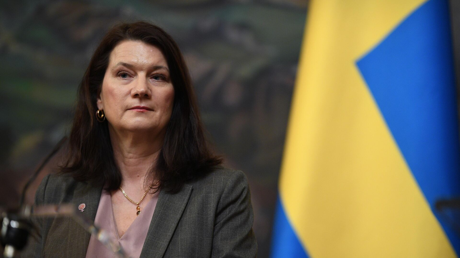 Глава МИД Швеции заявила о "брошенном вызове" России интересам ЕС
