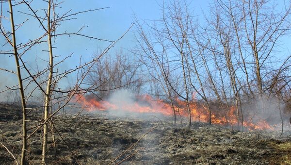 Пожар на горе Тугая в Горно-Алтайске Пожар на горе Тугая в Горно-Алтайске