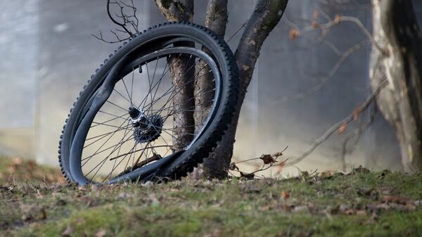 Велосипедное колесо