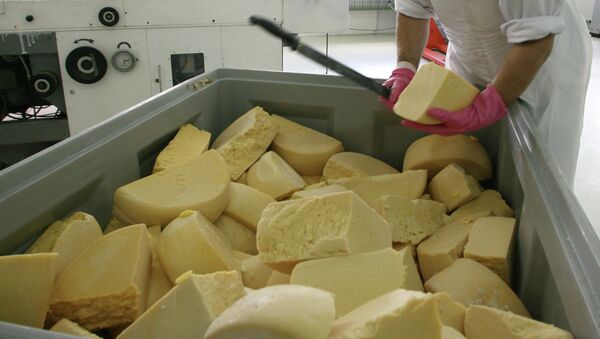 Работа сыродельческого предприятия. Архивное фото Работа сыродельческого предприятия. Архивное фото