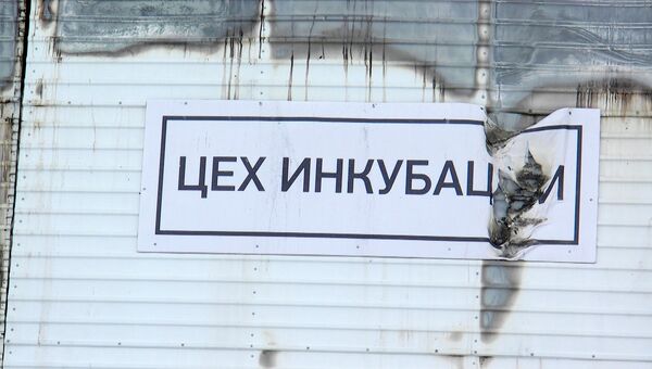 Пожар на птицефабрике Томская, фото из архива Пожар на птицефабрике Томская, фото из архива