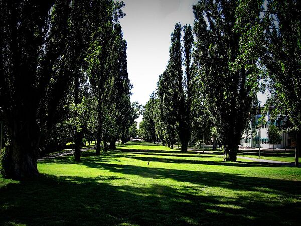 Небольшой парк перед кампусом Национального университета Австралии Небольшой парк перед кампусом Национального университета Австралии