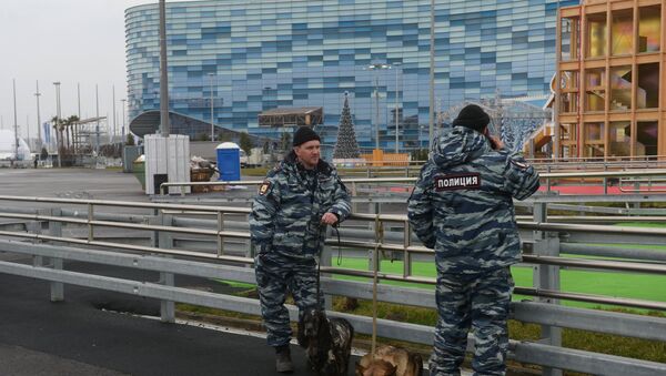 Сотрудники полиции на территории Олимпийского парка в Сочи, архивное фото Сотрудники полиции на территории Олимпийского парка в Сочи, архивное фото