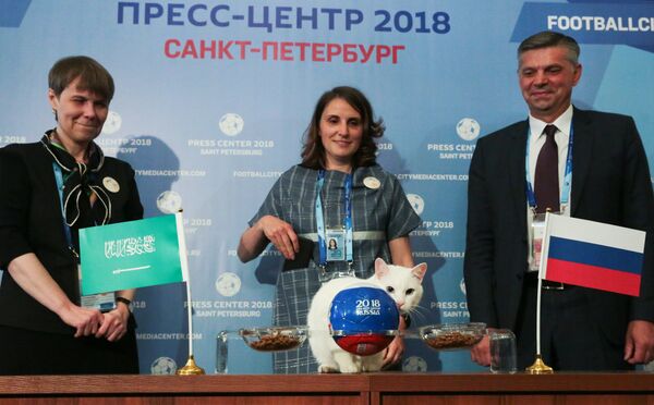 Кот-оракул Ахилл предсказал победу сборной России над Саудовской Аравией Кот-оракул Ахилл предсказал победу сборной России над Саудовской Аравией
