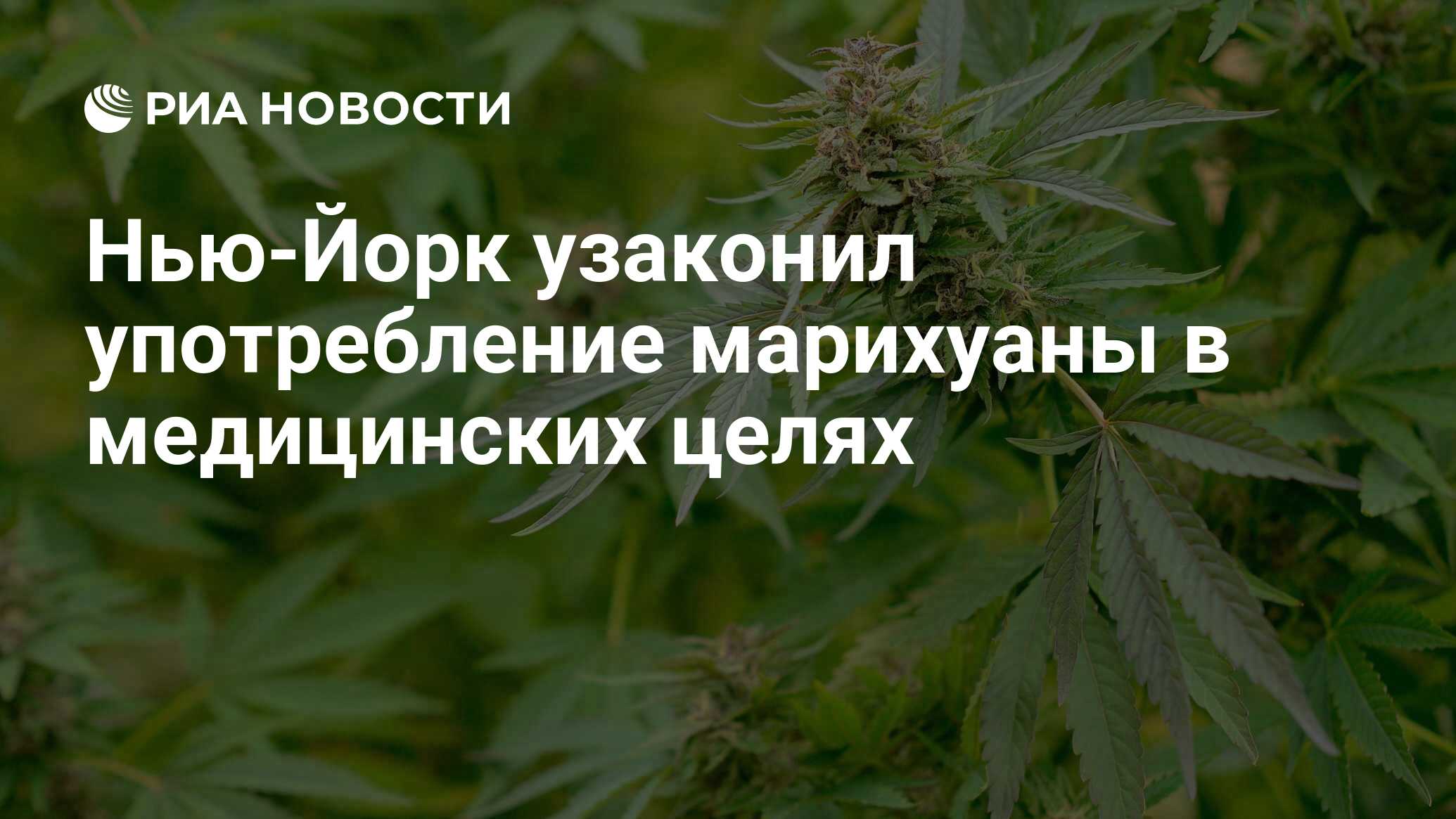 Употребление марихуаны россии обхода тор браузер hudra