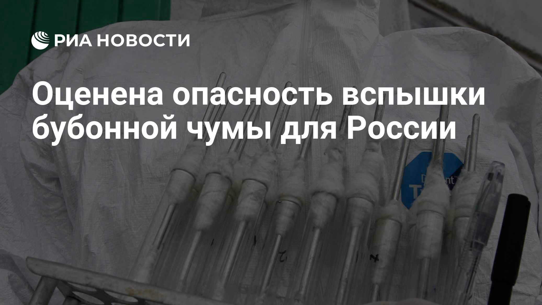 Врач оценил опасность бубонной чумы для России - РИА Новости, 05.07.2020