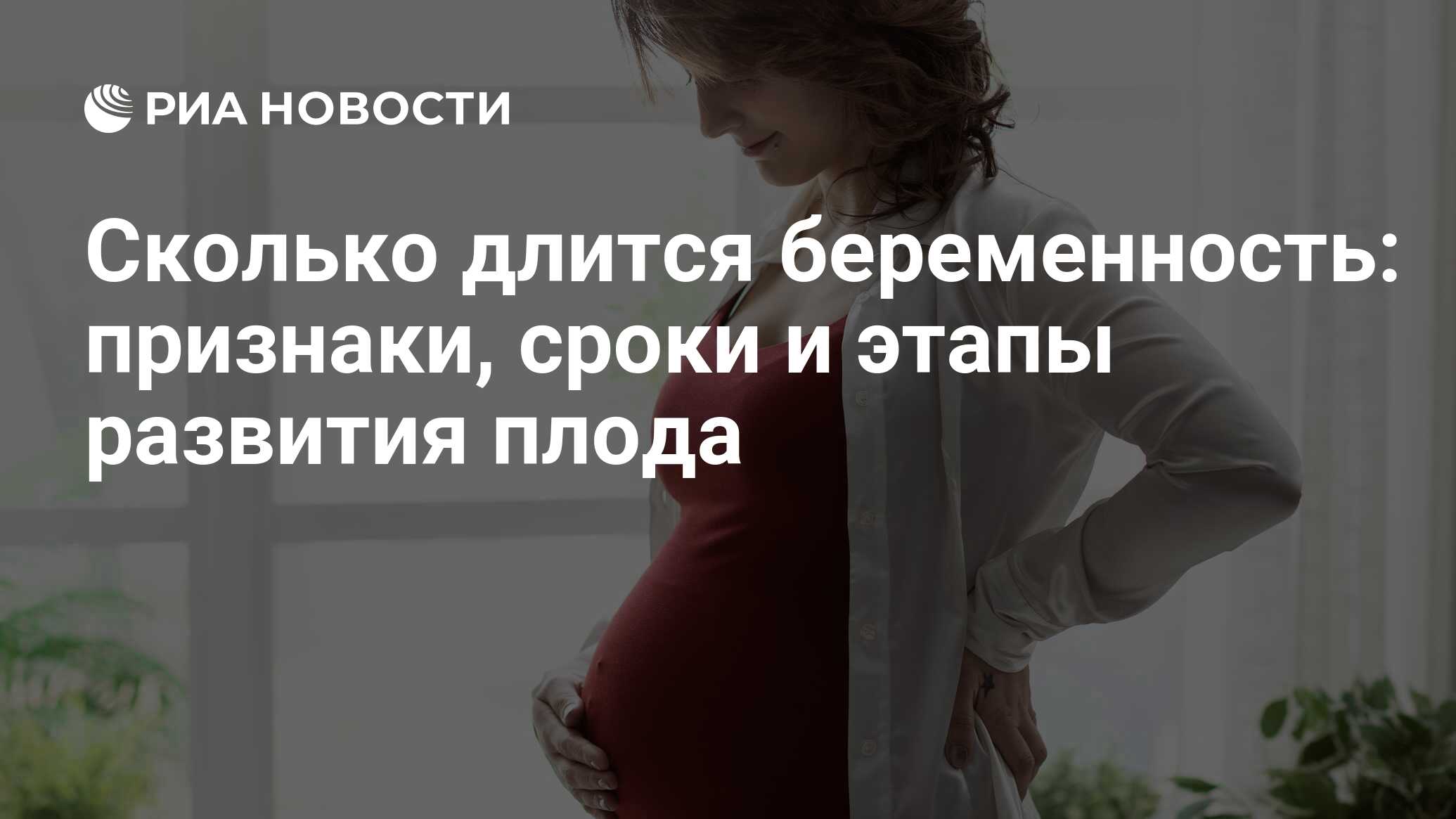 Сколько длится беременность у лошадей в симс 3