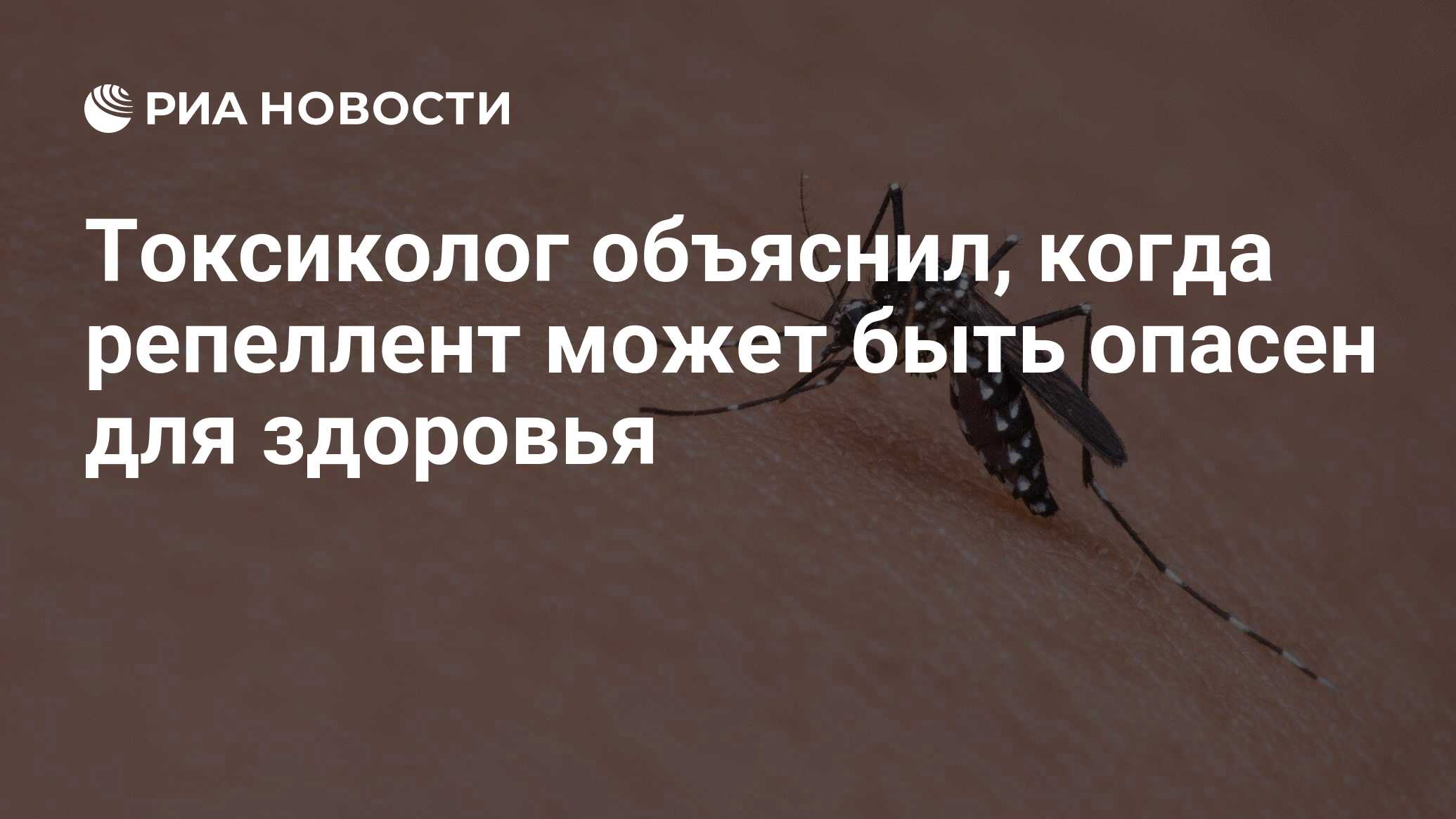 Можно заразиться вич от укуса комара. Мифы о комарах. как избежать укуса комара.
