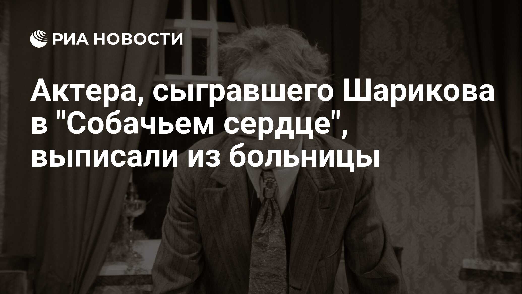 Интерьер в собачьем сердце